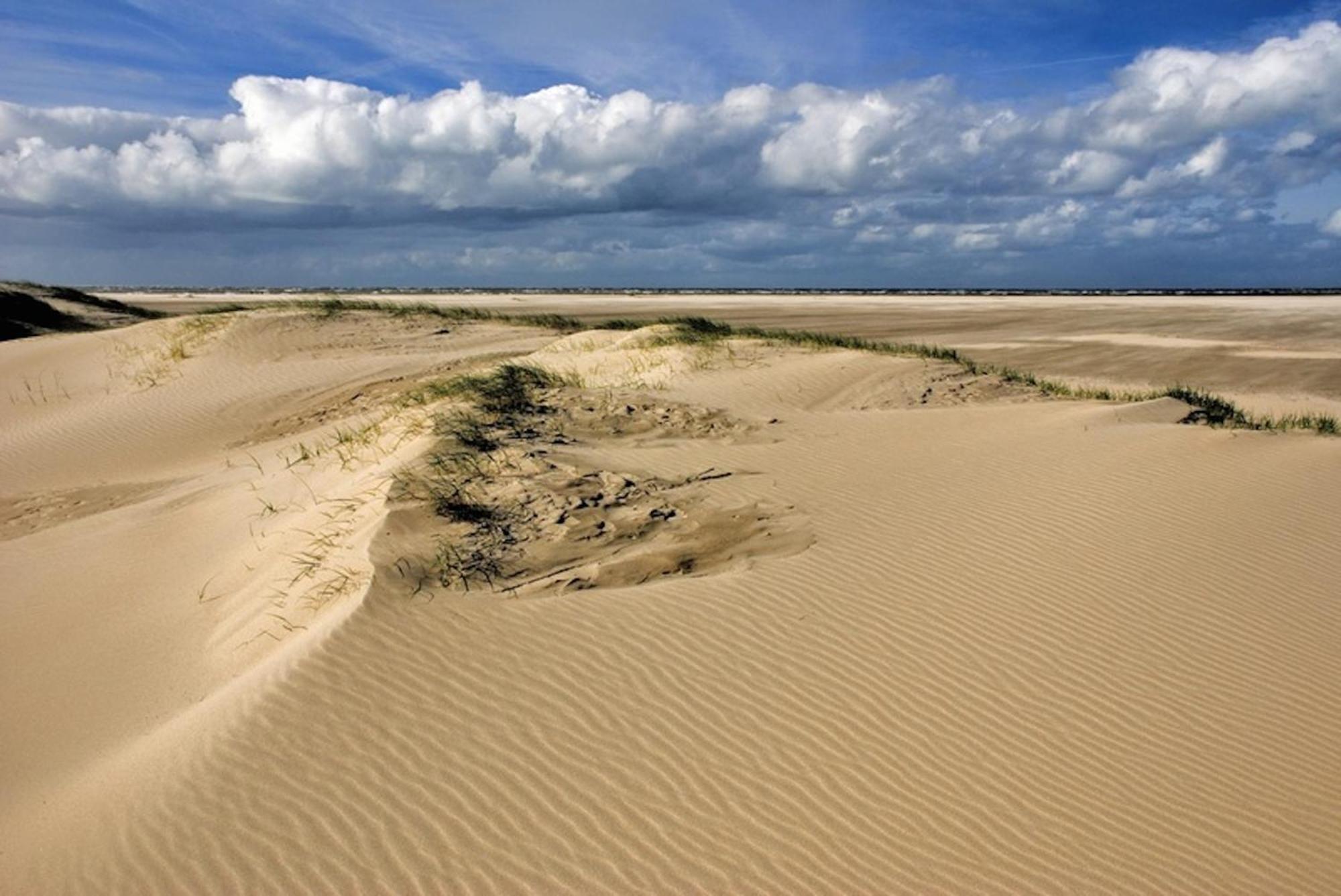Ara Dune Hotel De Panne Exteriör bild