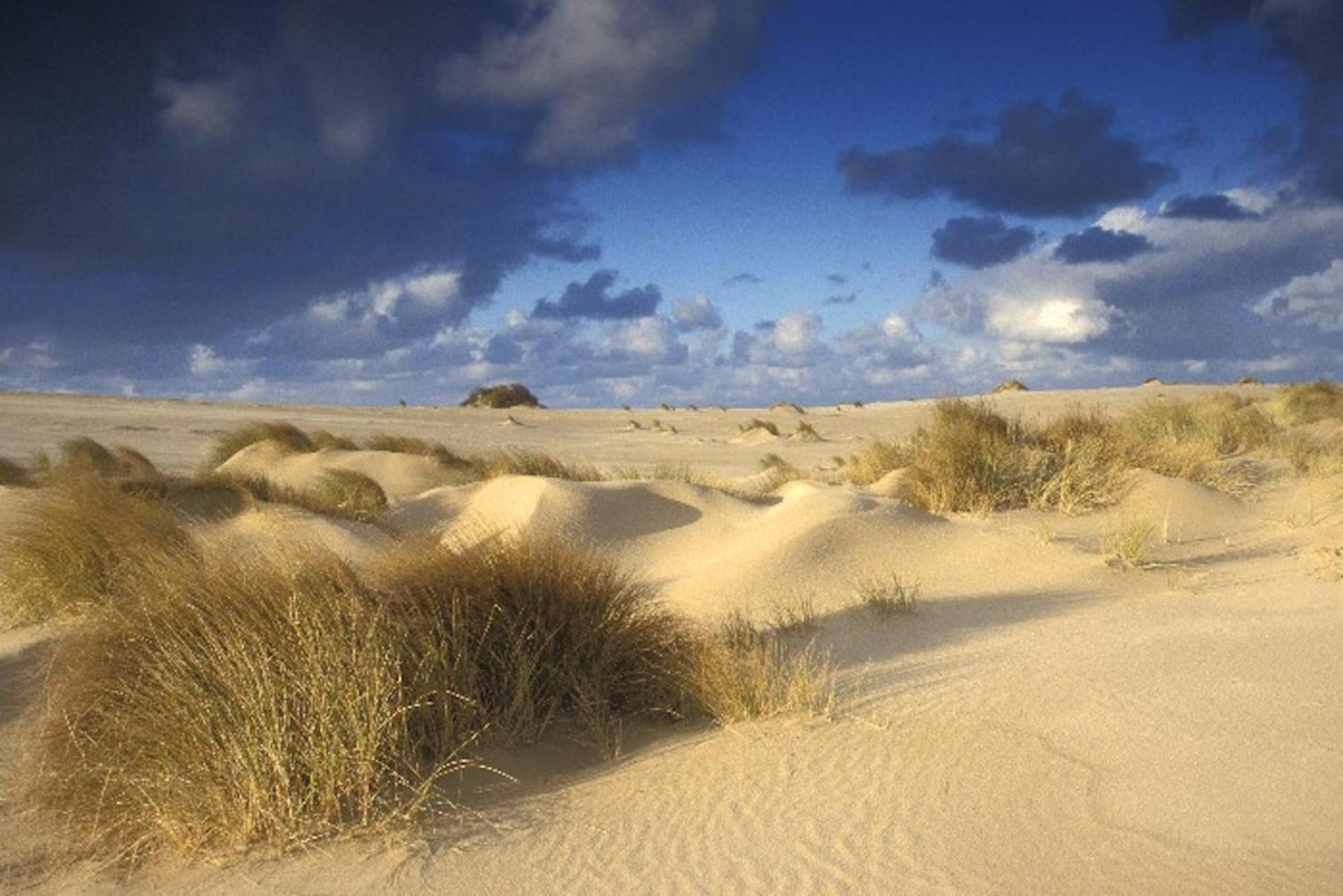 Ara Dune Hotel De Panne Exteriör bild
